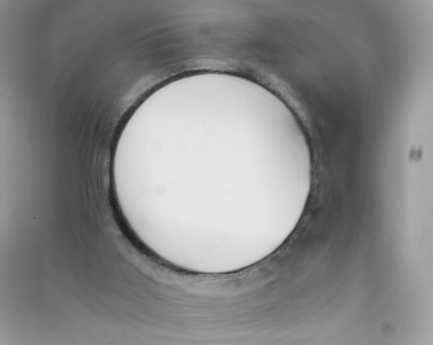 X0000090780011200708172137