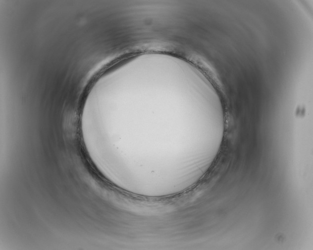 X0000090780012200708172137