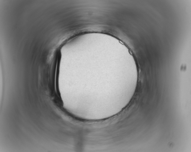 X0000090780013200708172137