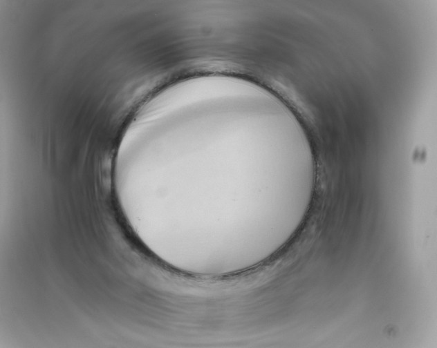 X0000090780014200708172137