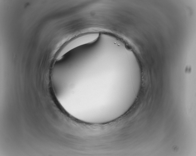 X0000090780015200708172137