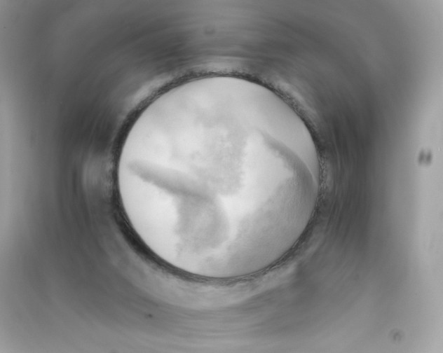 X0000090780016200708172137