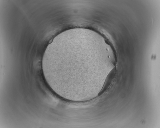 X0000090780017200708172137
