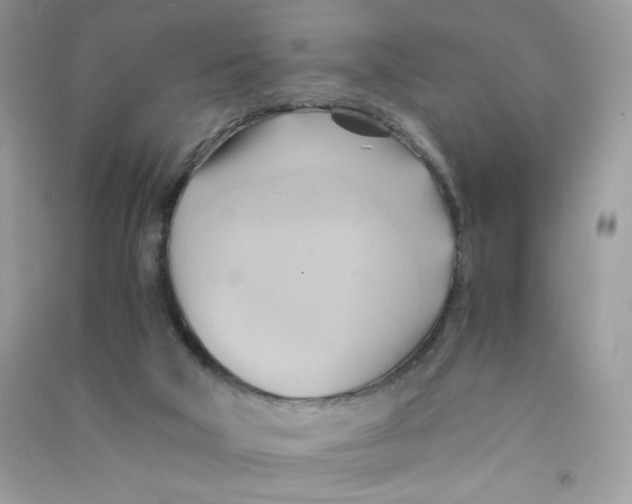 X0000090780018200708172137