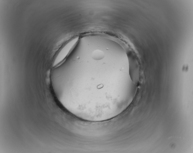 X0000090780019200708172137