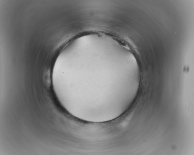 X0000090780020200708172137