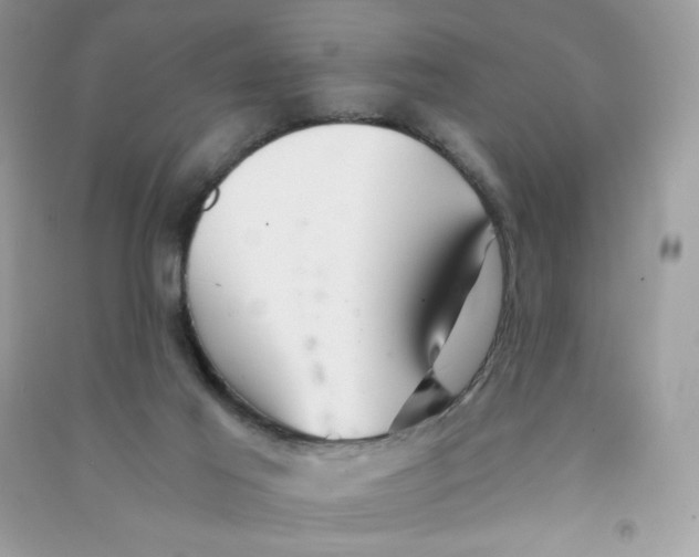 X0000090780021200708172137