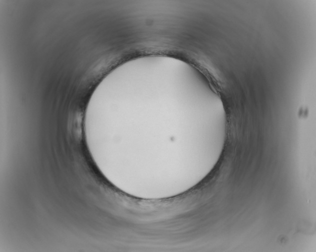X0000090780022200708172137