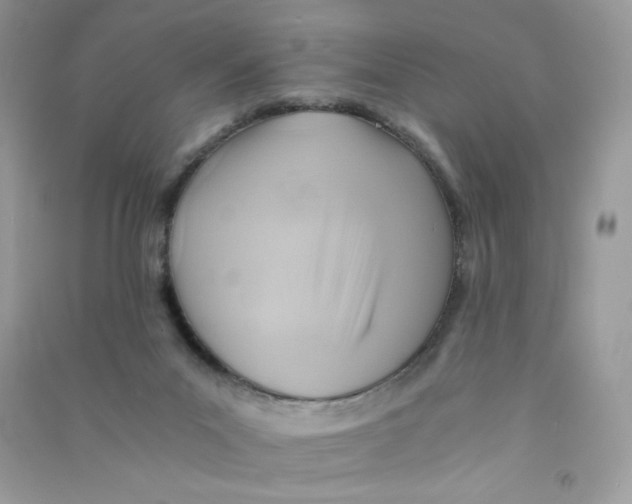 X0000090780023200708172137