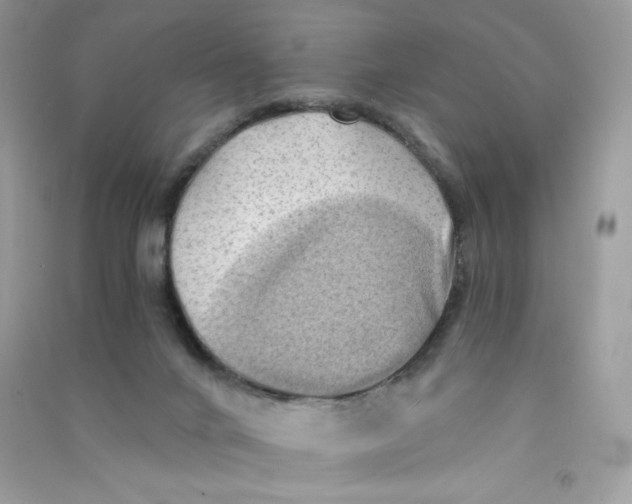 X0000090780024200708172137