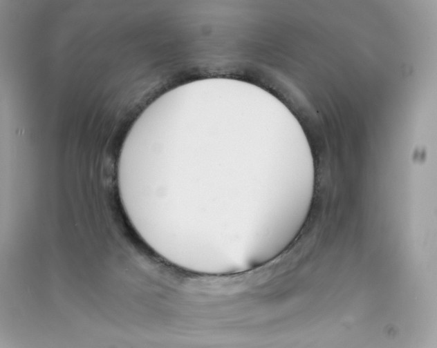 X0000090780025200708172137