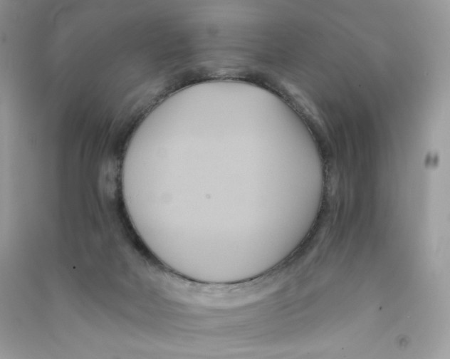 X0000090780026200708172137
