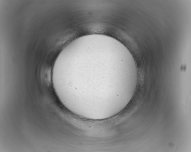 X0000090780028200708172137