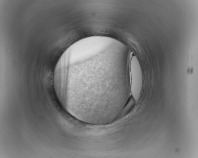 X0000090780029200708172137