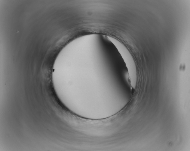 X0000090780031200708172137