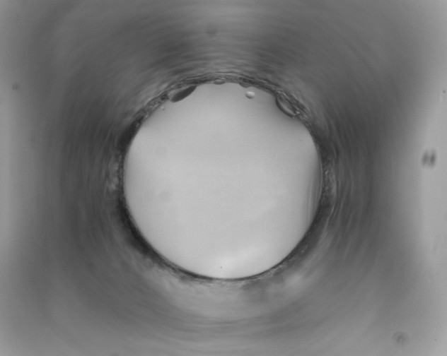 X0000090780032200708172137