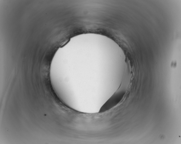 X0000090780033200708172137