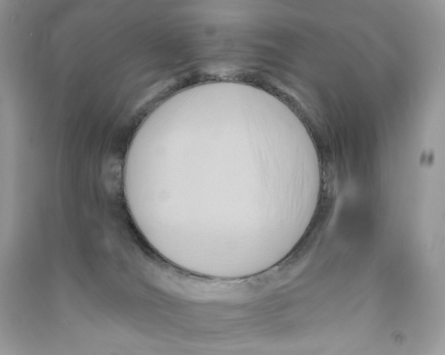 X0000090780036200708172137