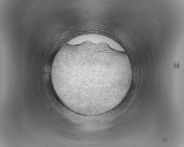 X0000090780038200708172137
