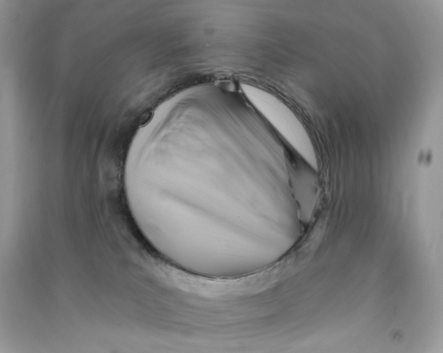 X0000090780039200708172137