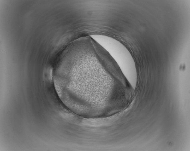 X0000090780041200708172136