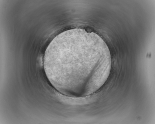 X0000090780042200708172136