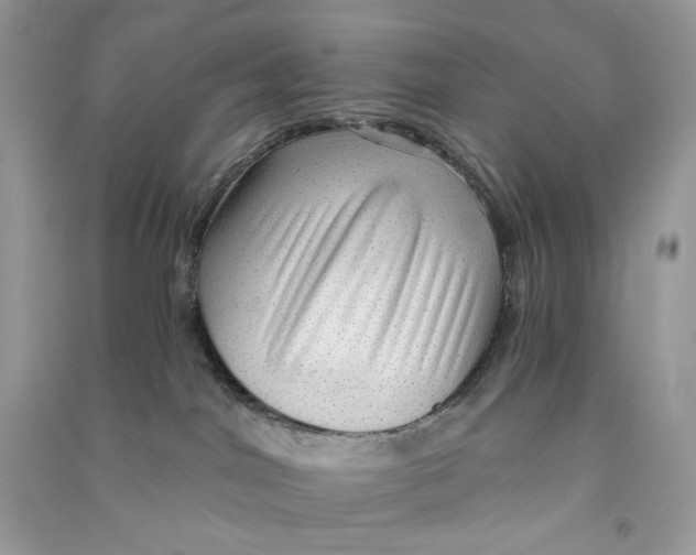 X0000090780044200708172136