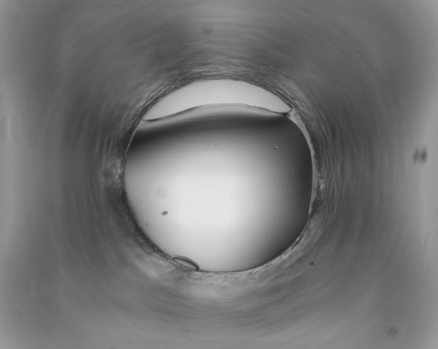 X0000090780045200708172136