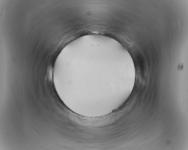 X0000090780046200708172136