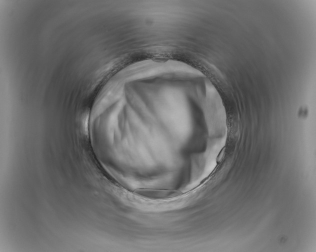 X0000090780047200708172136