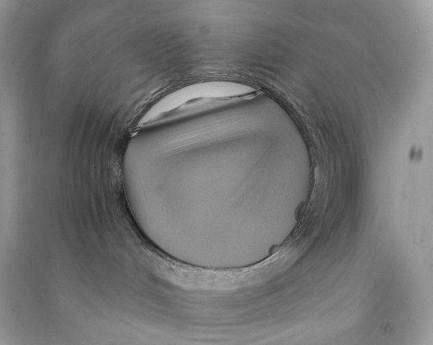 X0000090780048200708172136