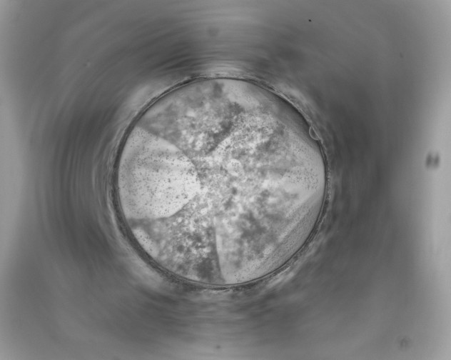 X0000090780049200708172136