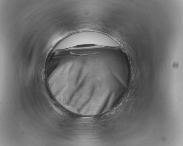 X0000090780050200708172136