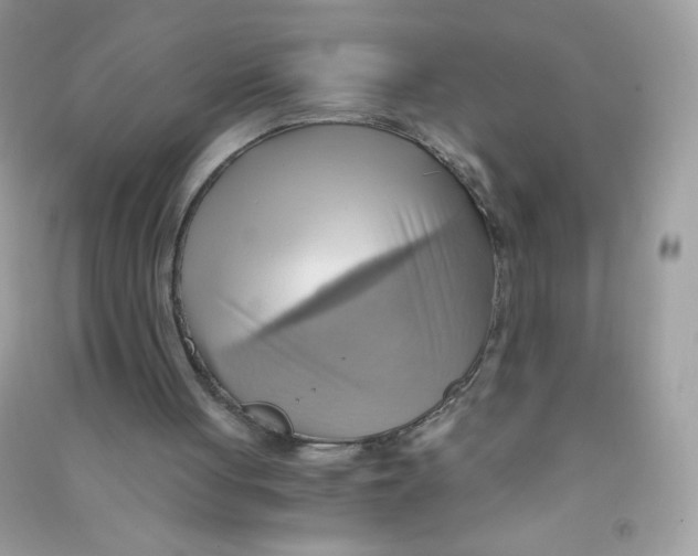 X0000090780051200708172136