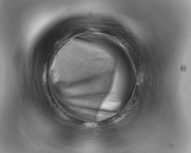X0000090780052200708172136