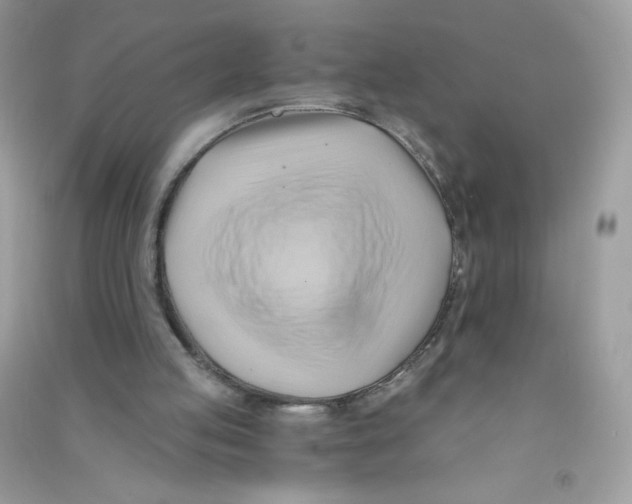 X0000090780053200708172136