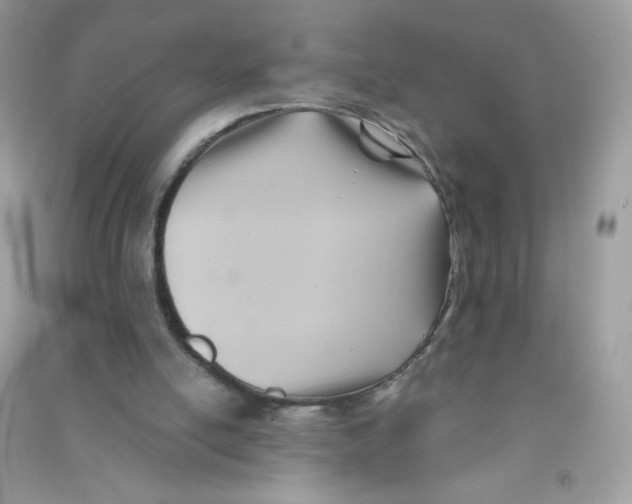 X0000090780054200708172136