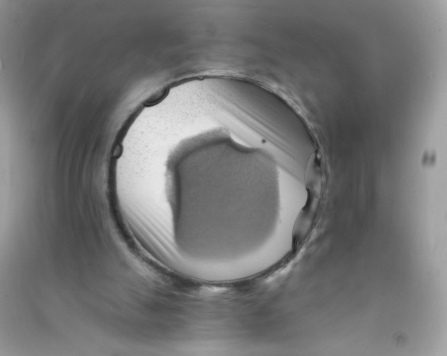 X0000090780055200708172136