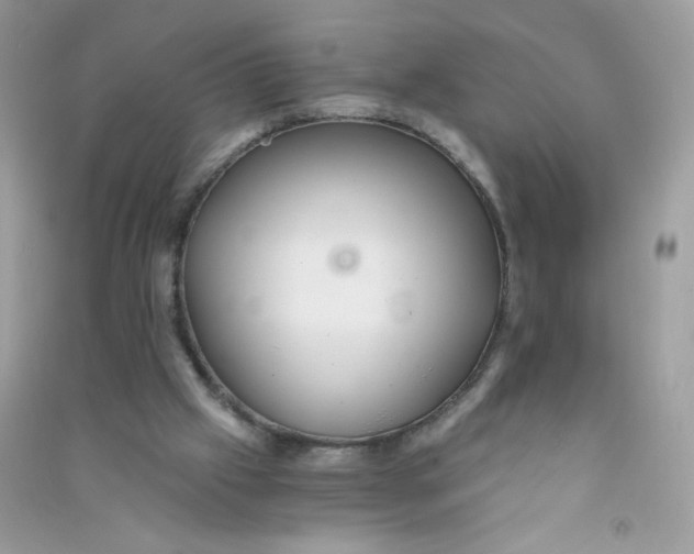 X0000090780057200708172136