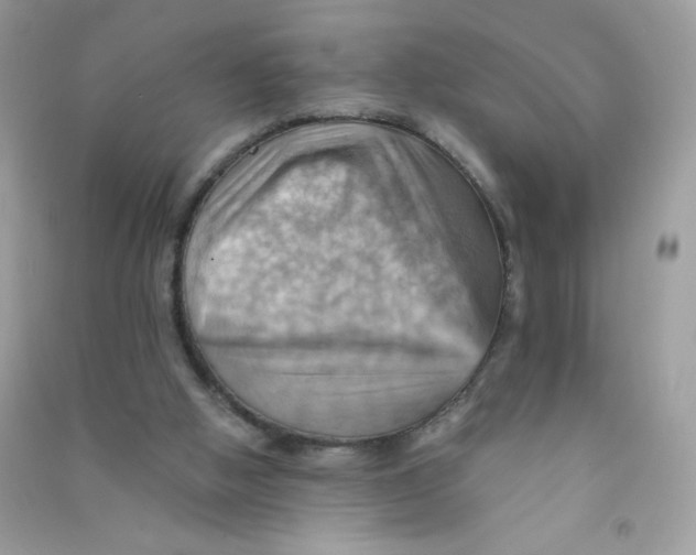 X0000090780058200708172136