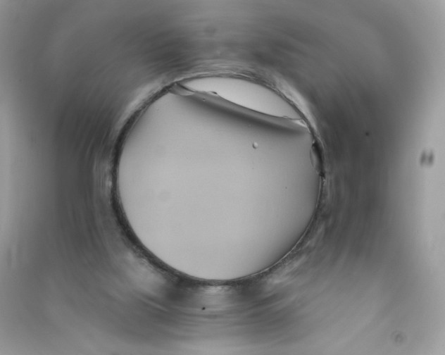 X0000090780059200708172136