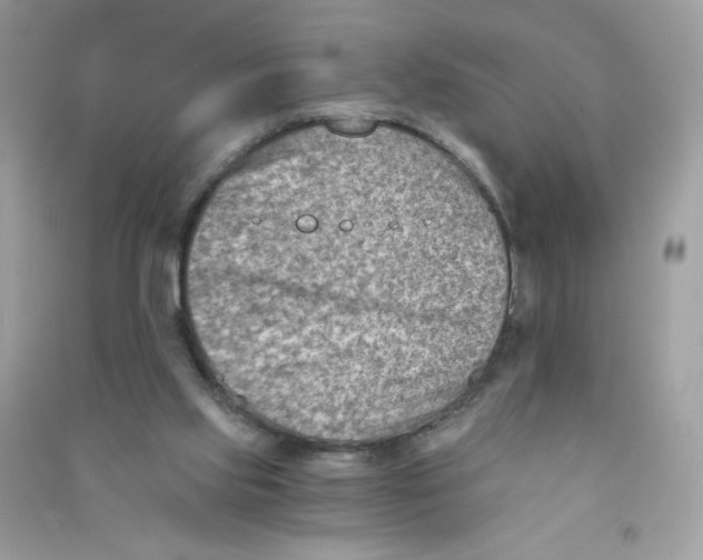 X0000090780061200708172136