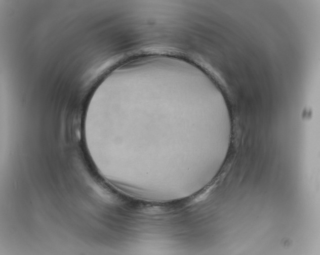 X0000090780062200708172136