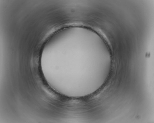 X0000090780063200708172136
