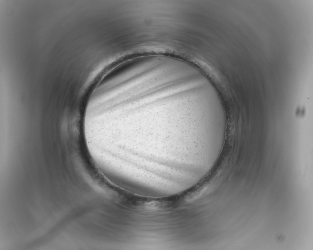X0000090780064200708172136