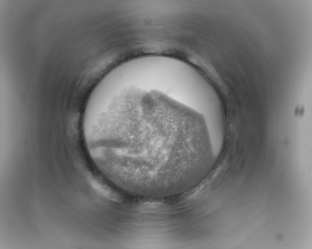 X0000090780066200708172136