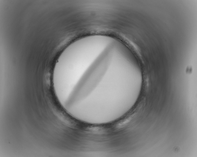 X0000090780067200708172136