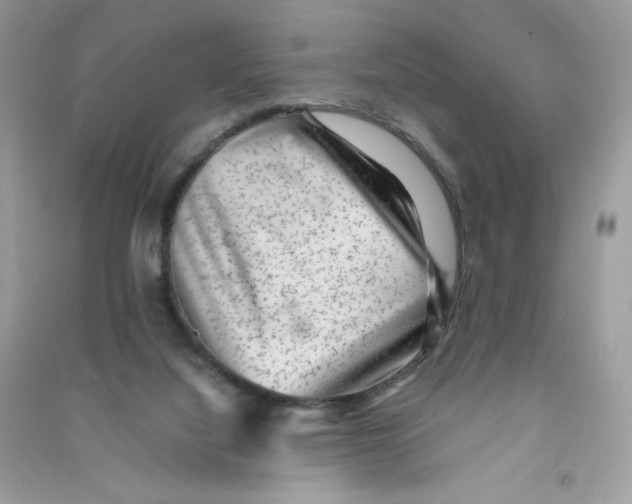 X0000090780068200708172136