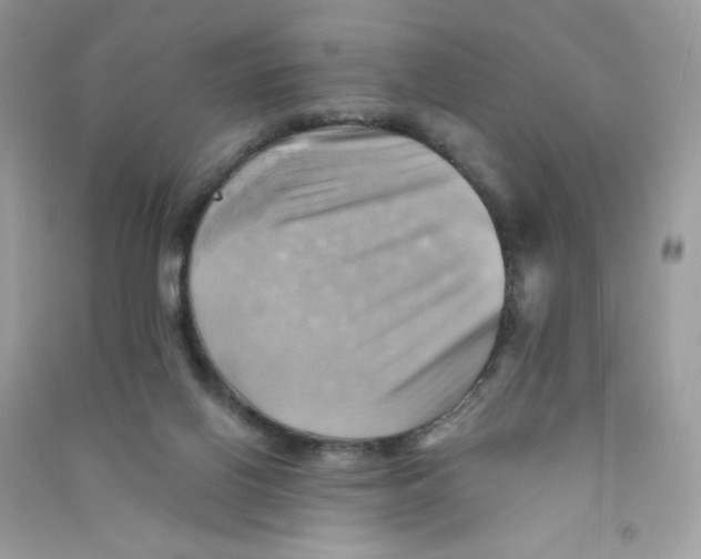 X0000090780070200708172136