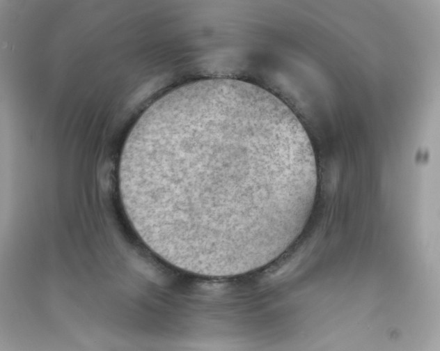 X0000090780071200708172136